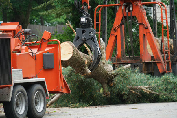 Lawn Watering Services in Mapleton, ND